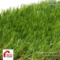 ราคา Moolar หญ้าเทียมมาเลย์ สูง 3 ซม. รุ่น M3 (41863920404)