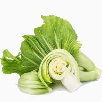 ราคา 1000 เมล็ด เมล็ดพันธุ์ เขียวปลี ผักกาดเขียวปลี ผักโสภณ Chinese Mustard Green Seeds (42922554890)