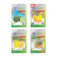 ราคา เมล็ดพันธุ์ เมล่อน เจียไต๋ (ซอง) ตราเครื่องบิน เมล่อน แคนตาลูป ศรแดง (3517737130)