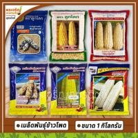 ราคา เมล็ดพันธุ์ข้าวโพด ข้าวโพดข้าวเหนียว (ขนาด 1 กิโลกรัม) เมล็ดข้าวโพดหวาน เมล็ดพันธุ์ผักสวนครัว เมล็ดพันธุ์ข้าวโพดถุงใหญ่ (8084180021)