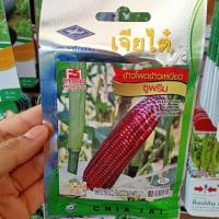 ราคา เมล็ดข้าวโพดข้าวเหนียว ซูพรีม ข้าวโพดข้าวเหนียวทับทิมสีม่วง ตราเจียไต๋ (43517642321)