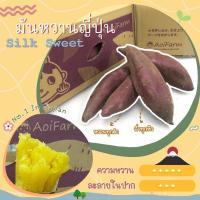ราคา มันหวานญี่ปุ่นสายพันธุ์ซิลค์สวีท Silk Sweet Size M 5 กก. จาก AOI Farm ประเทศญี่ปุ่น 100% (10777853359)