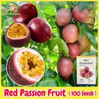 ราคา เมล็ดพันธุ์ เสาวรสสีแดง เมล็ดเสาวรสหวานสีม่วง บรรจุ 100 เมล็ด Red Passion Fruit Seed เมล็ดเสาวรส เมล็ดผลไม้ พันธุ์ไม้ผล (27130511392)