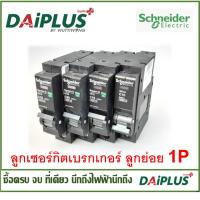 ราคา ลูกเซอร์กิตเบรกเกอร์ ลูกย่อย 1P 10A / 16A / 20A / 25A / 32A Schneider(ชไนเดอร์) (21479672561)