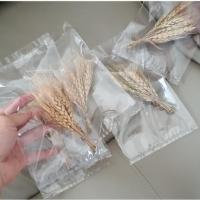 ราคา 10ชิ้นธรรมชาติข้าวสาลีแห้งดอกไม้หัวตกแต่งภายในข้าวสาลีมัดตกแต่งบ้านดอกไม้แห้งจริงดอกไม้แห้ง (41324595962)