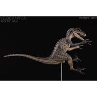 ราคา โมเดลไดโนเสาร์ Velociraptor Blue (Rebor) ของแท้ (42163510161)
