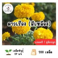 ราคา LXG : เมล็ดพันธุ์ ดอกดาวเรือง สีเหลือง 200 เมล็ด ปลูกง่าย โตเร็ว เมล็ดแท้ อัตราการงอกสูง (24311572186)