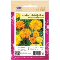 ราคา เมล็ดพันธุ์ ดาวเรือง เจียไต๋รุ่งเรือง ตราเจียไต๋ (28378616283)