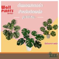 ราคา ต้นไม้พร้อมกระถางแขวนผนัง ไม่ต้องเจาะผนัง!! ( ต้นมอนสเตอร่า ต้นซานาดู ) ต้นไม้ปลอมตกแต่งบ้าน (7887081589)