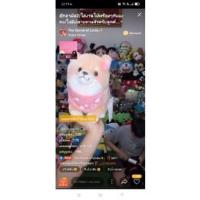 ราคา ตุ๊กตาของพี่ปุ๊กค่าาาา (14804312232)