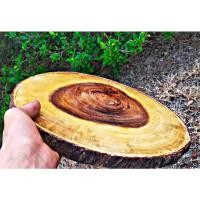 ราคา เขียงไม้จามจุรีติดเปลือกไม้ตามรูปทรงไม้ ขนาด9"-12"หนา2.5 - 3ซม (17524476241)