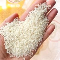 ราคา ปลายข้าวหอมนุ่ม 900 กรัม ข้าวปลายเลี้ยงสัตว์ ปลายข้าวขาว อาหารเลี้ยงไก่ ปลายผสมอาหารสัตว์ (43823366356)