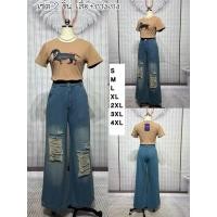 ราคา ชุดยีนส์ เสื้อยืด ลายน้องหมา+กางเกงยีนส์ แต่งขาด งานป้าย chalita (47052084815)