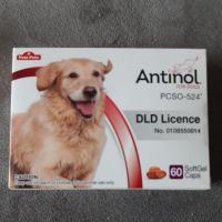 ราคา Antinol for dogs (60 Caps) (9380708376)