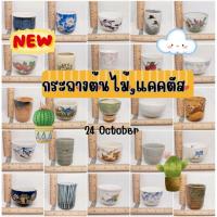 ราคา กระถางต้นไม้ กระถางกระบองเพชร กระถางเซรามิกญี่ปุ่นมือสอง stock H (5444929645)