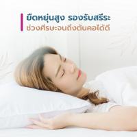 ราคา หมอนยางพาราหลับสนิท หมอนแก้ปวดคอ หมอนเพื่อสุขภาพ กันไรฝุ่น กันน้ำ หมอนยางพารา NR 5 L หมอน เครื่องนอน Pillow Latex pillow (14711039527)