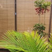 ราคา ม่านม้วนกันน้ําแรเงาใหม่สไตล์จีนศาลาแก้วตกแต่งผ้าม่านไม้ไผ่ เจ ω ข & ข ฉนวนกันความร้อนระเบียงวิศวกรรมกลางแจ้ง ฉ3ฉัน (24447746709)