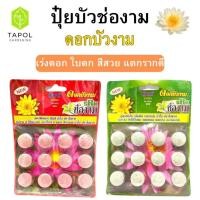 ราคา ปุ๋ยบัวช่องาม เร่งดอก เร่งสีให้บัวมีสีสวยสด รากแข็งแรง บัวแตกหน่อ รากแข็งแรง น้ำใสปลาไม่ตาย (27436135726)