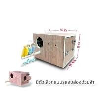 ราคา นกหงส์หยก กล่องเพาะเลี้ยงนกหงส์หยก (5619805426)