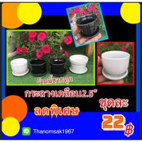 ราคา กระถางเซรามิคเคลือบ2.5” (8115986717)