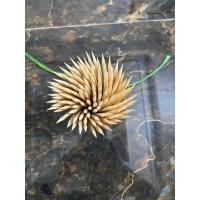 ราคา (15 ไม้จิ้มฟันไม้ไผ่) ไม้จิ้มฟันไม้ไผ่ ไม้จิ้มเนื้อไม้ไผ่ สําหรับปั้น (29122512203)