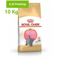 ราคา Royal Canin British Shorthair Kitten อาหารลูกแมวบริติช ชอร์ตแฮร์ อายุ 4-12 เดือน ขนาด 10 กก. (17963424436)