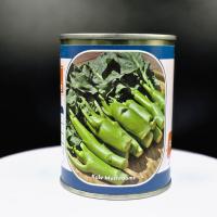 ราคา คะน้าเห็ดหอม คะน้าหวาน คะน้าฮ่องกง ตราลูกโลก ขนาด 60 กรัม พืชผักสวนครัว (27683117691)