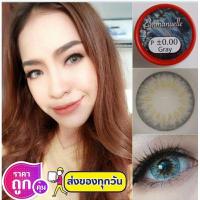 ราคา คอนแทคเลนส์ บิ๊กอาย รุ่น Emmanuelle สีเทา/ตาล Gray/Brown มีค่าสายตา (0.00) (27906717182)