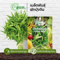 ราคา เมล็ดพันธุ์ผักบุ้งจีน (Chinese water) Green Garden (6637862940)