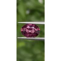 ราคา พลอย โรโดไลต์ กาเน็ท Rhodolite Garnet 2.72 กะรัต Cts. (22411166203)
