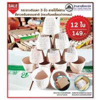 ราคา กระถางดินเผา 3 นิ้ว ลายไม้ไผ่สาน สีขาวครีมธรรมชาติ 12 ใบ 149 (7838947092)