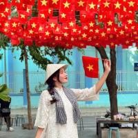 ราคา ลมแห่งชาติสตริง10เมตร20ใบแขวนตกแต่ง2/9วันชาติ,แถบธงสีแดงกับดาวสีเหลือง-เวียดนามธงพรรคราคาถูกและสวยแอฟริกันผ้า (41612667168)