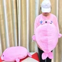 ราคา แมวน้ำนุ่มนิ่ม 80 ซม. (26558243940)