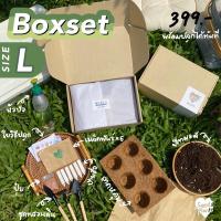 ราคา ชุดปลูก Boxset L เลือกเมล็ดได้6อย่าง (5269436417)