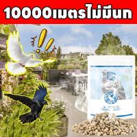 ราคา 10,000 เมตรไม่มีนก ANAN ไล่นก ก้อนไล่นก ไล่นกพิราบ ยาไล่นก ทำจากสารสกัดธรรมชาติ ขับไล่นกต่างๆ (40418316682)