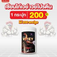 ราคา เซียนไก่เวย์ โปรตีนไก่ชน บินดีไม่มีตก บำรุงไก่ชน บำรุงกระดูก ของแท้ (25237858328)