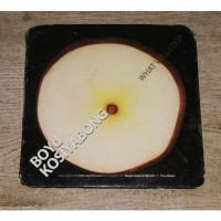 ราคา Boyd Kosiyabong บอย โกสิยพงษ์ Featuring Two Popetorn ตู่ ภพธร ซีดี Promo CD Album จะทำยังไง What Will I Do? (24760674811)