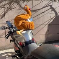 ราคา หมวกกันน็อคหมวกกันน็อคตุ๊กตามีบุคลิกน่ารักและอบอุ่น Sesame Street ไม่มีฟันแพนด้าหมูสาวหมวกกันน็อคใช้ได้ทั่วไป (28121997416)