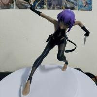 ราคา [ของแท้] Fate/Grand Order Hassan of the Serenity Servant figure fate grand order figure fate figure fgo figure (25626715298)