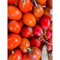 ราคา ต้นละมุดสีดาหรือต้นละมุดปลไม้หายาก (25156953784)