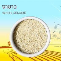 ราคา งาขาว 1 กิโลกรัม White Sesame 1 kg (25097351559)