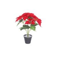 ราคา shophome468-Tree O ต้นพอยน์เซตเทีย ประดิษฐ์ 5 ช่อ รุ่น MC001 ขนาด 33*40*50ซม. สีแดง รับประกันของเเท้ (23058946722)