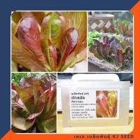 ราคา เมล็ดผักสลัด คิมมารอน - Cimmaron Romaine Lettuce สินค้าคุณภาพดี ราคาถูก ของแท้100% (188957910)