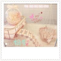 ราคา ตะกร้าแขวนแขวนรังหนูแฮมสเตอร์หนูแฮมสเตอร์อุปกรณ์ขายตรงโรงงานหนูแฮมสเตอร์ป้องกันการกัดหมีทองของเล่นเปลญวนแกว่งจัดส่งฟรี WGBQ (45553086720)