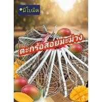 ราคา “ตะกร้อสอยผลไม้ วัสดุหวายขอบpvc ตระกร้อสอยมะม่วงแข็งแรง มีใบมีดคม เก็บง่าย ใช้ได้ทุกสวน ทนทาน (25097528057)