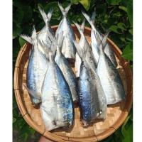 ราคา ปลาสีกุนตัดหัว ปลาหัวตัด ปลาเค็ม เค็มไม่มากเค็มกำลังดี ขนาด 450-500 กรัม/950-1000 กรัม (28527785516)