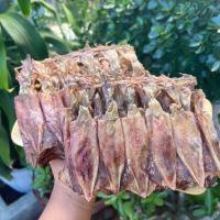 ราคา หมึกแพไข่กลาง ไข่แน่นทุกตัว ของฝากจากปากน้ำปราณ (26063581979)