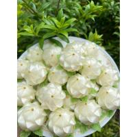 ราคา เหรียญโปรยทานดอกมะลิ 100 ดอก (28433852103)