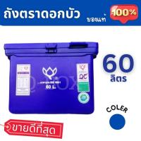ราคา Quickerboxถังน้ำแข็ง ถังแช่ ถังน้ำดื่ม ถังแช่น้ำแข็ง ขนาด 60 ลิตร ตราดอกบัว ถังสีน้ำเงิน พร้อมส่งทันทีทุกออเดอร์ (41458188398)