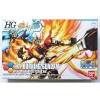 ราคา HG 1/144 Gunpla EXPO Try Burning Gundam Plavsky Particle Clear Ver. (25185037707)